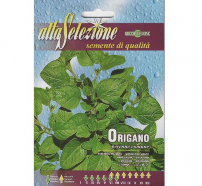Oregano "Origano Perenne Comune" Premium Quality Seeds by Alta Selezione Green Souq