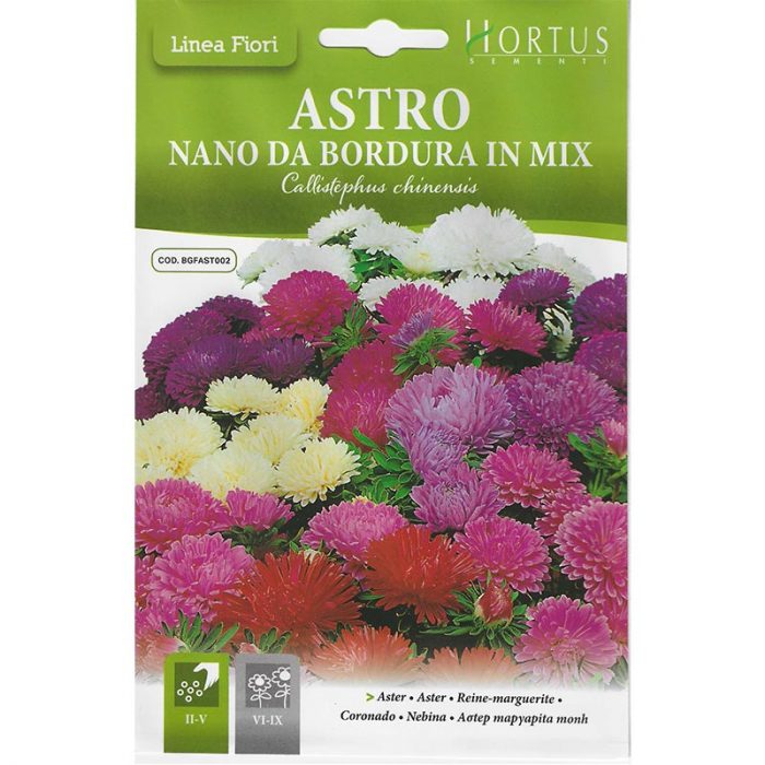 Aster Mix "Astro Nano Da Bordura In Mix" Premium Quality Seeds by Hortus Sementi Green Souq