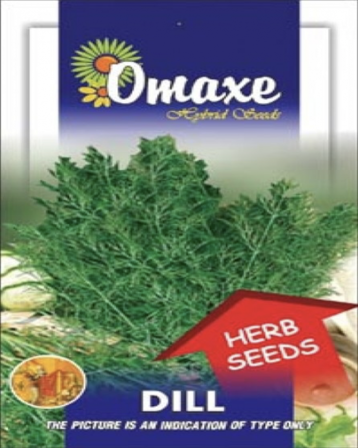 Dill Bio Organic Hybrid Seeds by Omaxe Green Souq