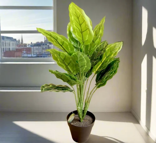 Artificial Calathea Green 50cm