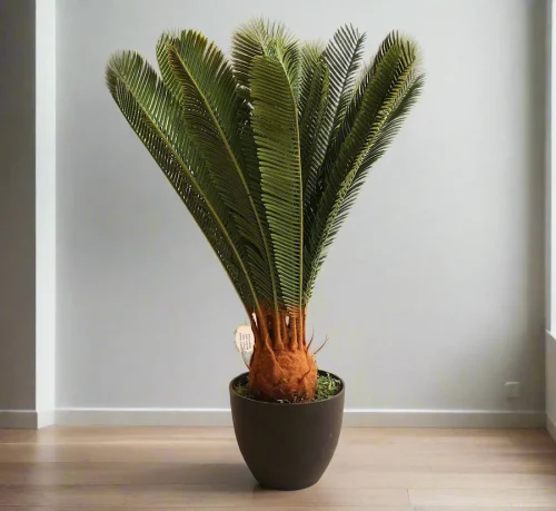 Artificial Cycas 65cm