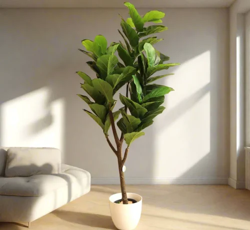 Artificial Ficus lyrata or Fiddle Leaf Fig Tree 1.5m