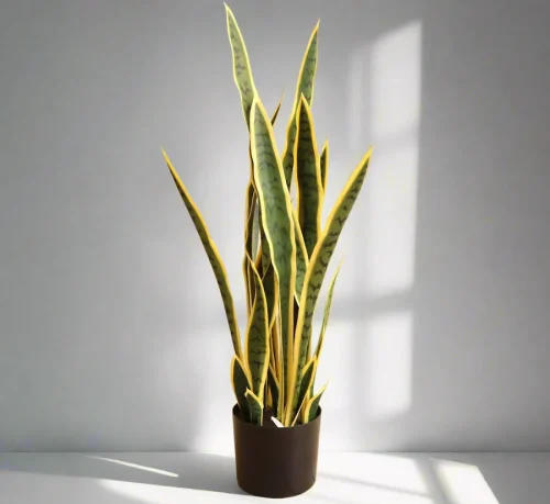 Artificial Sansevieria trifasciata “Snake Plant” 95cm