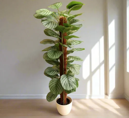 Artificial Calathea Orbifolia 130cm