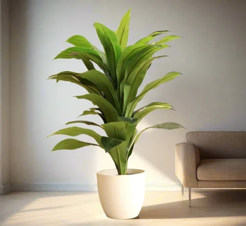 Artificial_Dracaena_Compacta_80cm