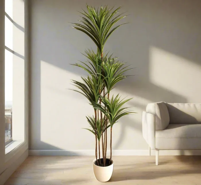 Artificial Dracaena Marginata 150cm