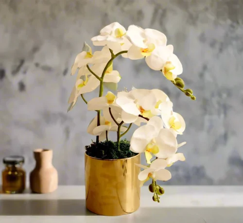 Artificial White Orchids 50cm