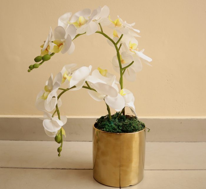Artificial White Orchids Green souq