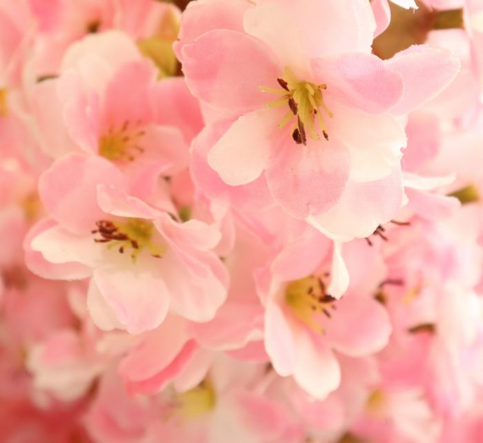 Artificial Cherry Blossom Greensouq
