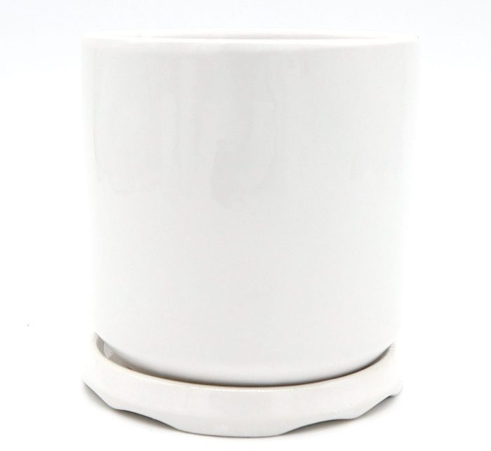 Indoor White Ceramic Pot Greensouq