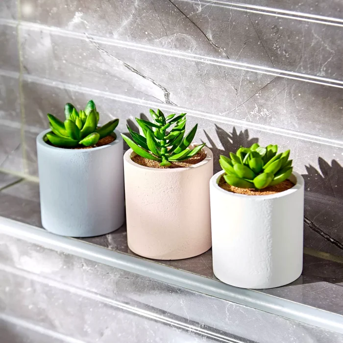 3 piece succulent