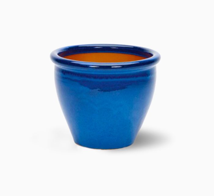 blue rollled rim pot