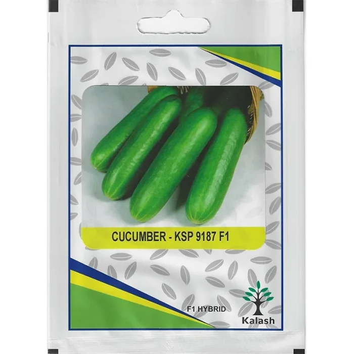 Kalash Cucumber KSP 9187 F1 Hybrid Premium Quality Seeds