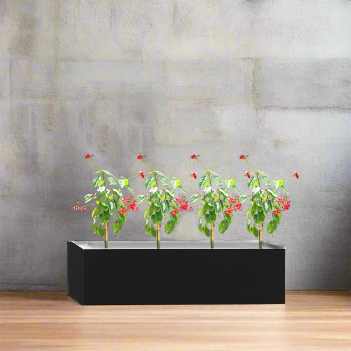 Jatropha Planter