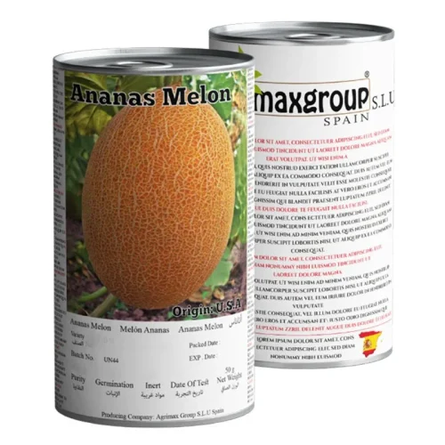 Agrimax Melon Hasna Premium Quality Seeds (Made in Spain) by AgrimaxgroupÂ