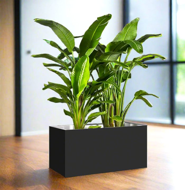 Bird of Paradise Planter