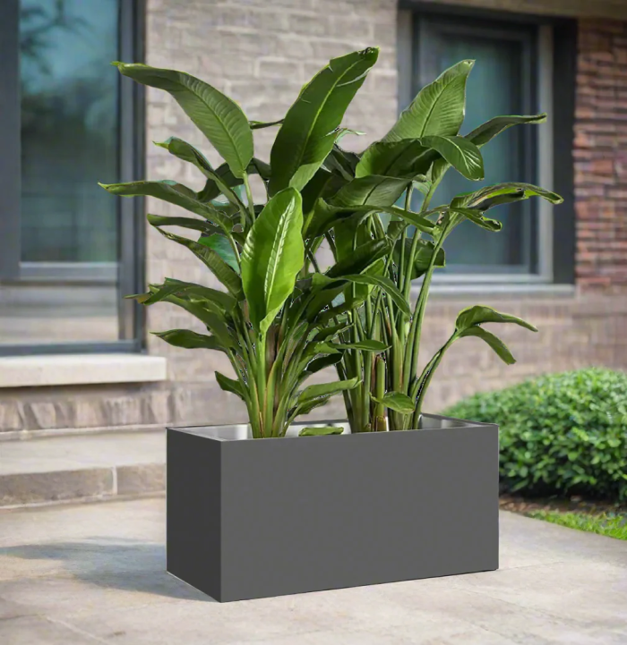 Bird of Paradise Planter