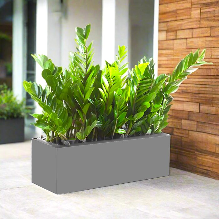 ZZ planter