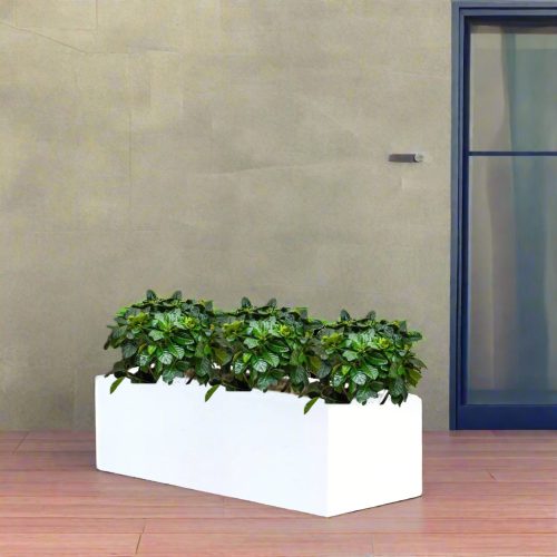 Gardenia Planter