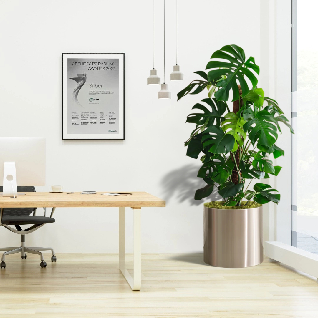 monstera office plant in stainless steel pot